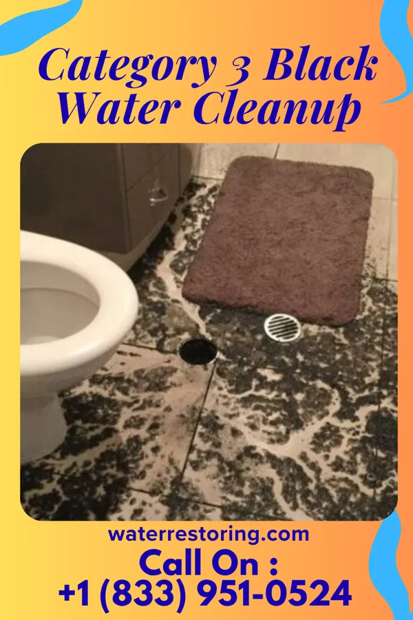 Category 3 Black Water Cleanup in Winchester Bay, OR
